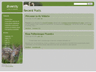 Preview diversity - FREE HTML CSS JavaScript Template