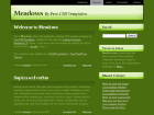 Preview meadows - FREE HTML CSS JavaScript Template
