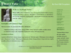 Preview waterfalls - FREE HTML CSS JavaScript Template