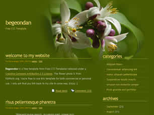 Preview begeondan - FREE HTML CSS JavaScript Template