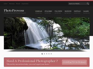Preview photoprowess - FREE HTML CSS JavaScript Template